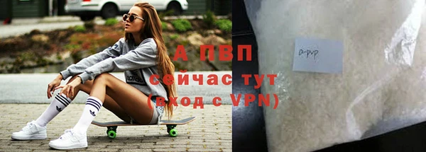 стаф Абаза