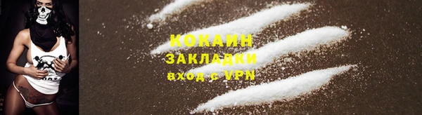 стаф Абаза