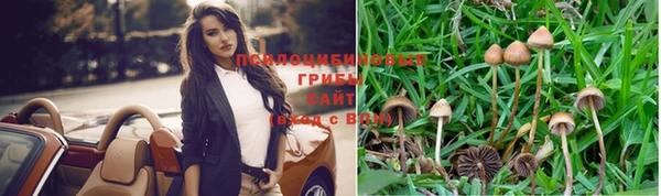 стаф Абаза