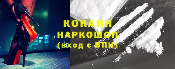 стаф Абаза