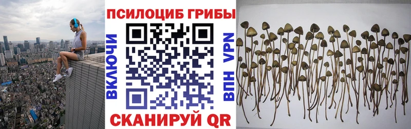 Псилоцибиновые грибы Magic Shrooms Нерчинск
